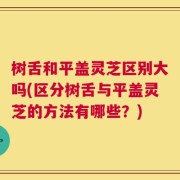树舌和平盖灵芝区别大吗(区分树舌与平盖灵芝的方法有哪些？)