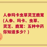 人参玛卡虫草灵芝鹿茸(人参、玛卡、虫草、灵芝、鹿茸：五种中药你知道多少？)