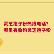 灵芝孢子粉热线电话？哪里有收购灵芝孢子粉
