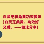 白灵芝和桑黄功效做法(白灵芝桑黄，功效好又香。——做法分享)