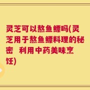 灵芝可以熬鱼鳔吗(灵芝用于熬鱼鳔料理的秘密  利用中药美味烹饪)