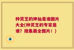 种灵芝的神仙是谁图片大全(种灵芝的专家是谁？搜集最全图片！)
