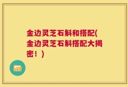 金边灵芝石斛和搭配(金边灵芝石斛搭配大揭密！)