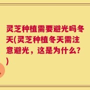 灵芝种植需要避光吗冬天(灵芝种植冬天需注意避光，这是为什么？)