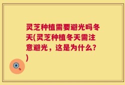 灵芝种植需要避光吗冬天(灵芝种植冬天需注意避光，这是为什么？)