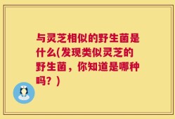与灵芝相似的野生菌是什么(发现类似灵芝的野生菌，你知道是哪种吗？)