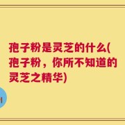 孢子粉是灵芝的什么(孢子粉，你所不知道的灵芝之精华)
