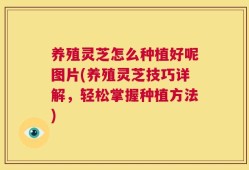 养殖灵芝怎么种植好呢图片(养殖灵芝技巧详解，轻松掌握种植方法)