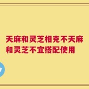 天麻和灵芝相克不天麻和灵芝不宜搭配使用