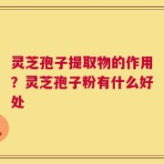 灵芝孢子提取物的作用？灵芝孢子粉有什么好处