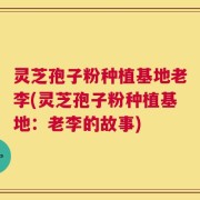 灵芝孢子粉种植基地老李(灵芝孢子粉种植基地：老李的故事)