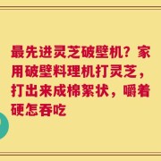 最先进灵芝破壁机？家用破壁料理机打灵芝，打出来成棉絮状，嚼着硬怎吞吃