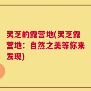 灵芝的露营地(灵芝露营地：自然之美等你来发现)