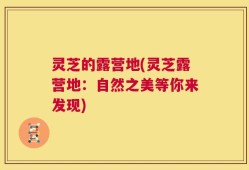 灵芝的露营地(灵芝露营地：自然之美等你来发现)