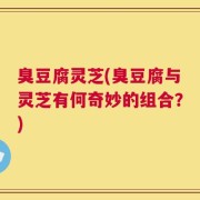 臭豆腐灵芝(臭豆腐与灵芝有何奇妙的组合？)