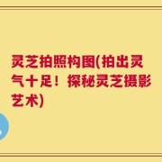 灵芝拍照构图(拍出灵气十足！探秘灵芝摄影艺术)