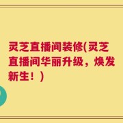 灵芝直播间装修(灵芝直播间华丽升级，焕发新生！)