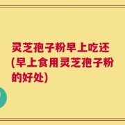 灵芝孢子粉早上吃还 (早上食用灵芝孢子粉的好处)