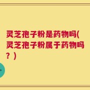 灵芝孢子粉是药物吗(灵芝孢子粉属于药物吗？)