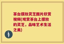 茶台摆放灵芝图片欣赏视频(观赏茶台上摆放的灵芝，品味艺术生活之美)