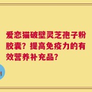 爱恋猫破壁灵芝孢子粉胶囊？提高免疫力的有效营养补充品？