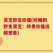 灵芝野生价值(珍稀的野生灵芝：珍贵价值远超想象)