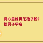同心思维灵芝孢子粉？松灵子学名