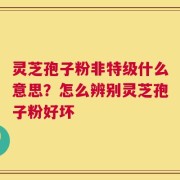灵芝孢子粉非特级什么意思？怎么辨别灵芝孢子粉好坏