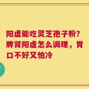 阳虚能吃灵芝孢子粉？脾肾阳虚怎么调理，胃口不好又怕冷