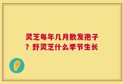 灵芝每年几月散发孢子？野灵芝什么季节生长