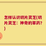 怎样认识切片灵芝(切片灵芝：神奇的草药？)