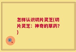怎样认识切片灵芝(切片灵芝：神奇的草药？)