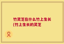 竹灵芝在什么竹上生长(竹上生长的灵芝
