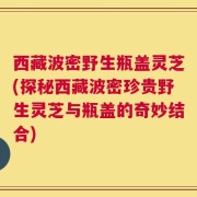 西藏波密野生瓶盖灵芝(探秘西藏波密珍贵野生灵芝与瓶盖的奇妙结合)