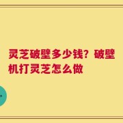 灵芝破壁多少钱？破壁机打灵芝怎么做