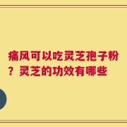 痛风可以吃灵芝孢子粉？灵芝的功效有哪些