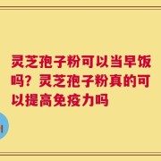 灵芝孢子粉可以当早饭吗？灵芝孢子粉真的可以提高免疫力吗