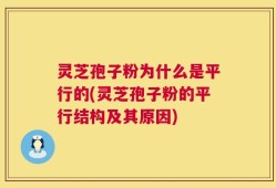 灵芝孢子粉为什么是平行的(灵芝孢子粉的平行结构及其原因)