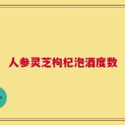 人参灵芝枸杞泡酒度数