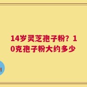 14岁灵芝孢子粉？10克孢子粉大约多少