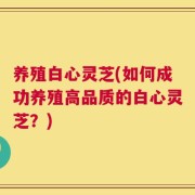 养殖白心灵芝(如何成功养殖高品质的白心灵芝？)