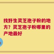 找野生灵芝孢子粉的地方？灵芝孢子粉哪里的产地最好