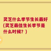 灵芝什么季节生长最好(灵芝最佳生长季节是什么时候？)