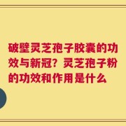 破壁灵芝孢子胶囊的功效与新冠？灵芝孢子粉的功效和作用是什么