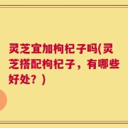 灵芝宜加枸杞子吗(灵芝搭配枸杞子，有哪些好处？)