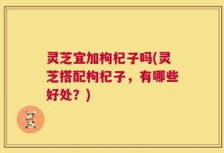 灵芝宜加枸杞子吗(灵芝搭配枸杞子，有哪些好处？)
