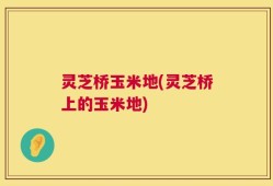 灵芝桥玉米地(灵芝桥上的玉米地)