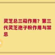 灵芝总三萜作用？第三代灵芝孢子粉作用与禁忌