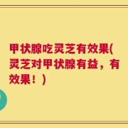 甲状腺吃灵芝有效果(灵芝对甲状腺有益，有效果！)