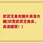 武灵芝美食图片高清大图(欣赏武灵芝美食，高清图赏！)
